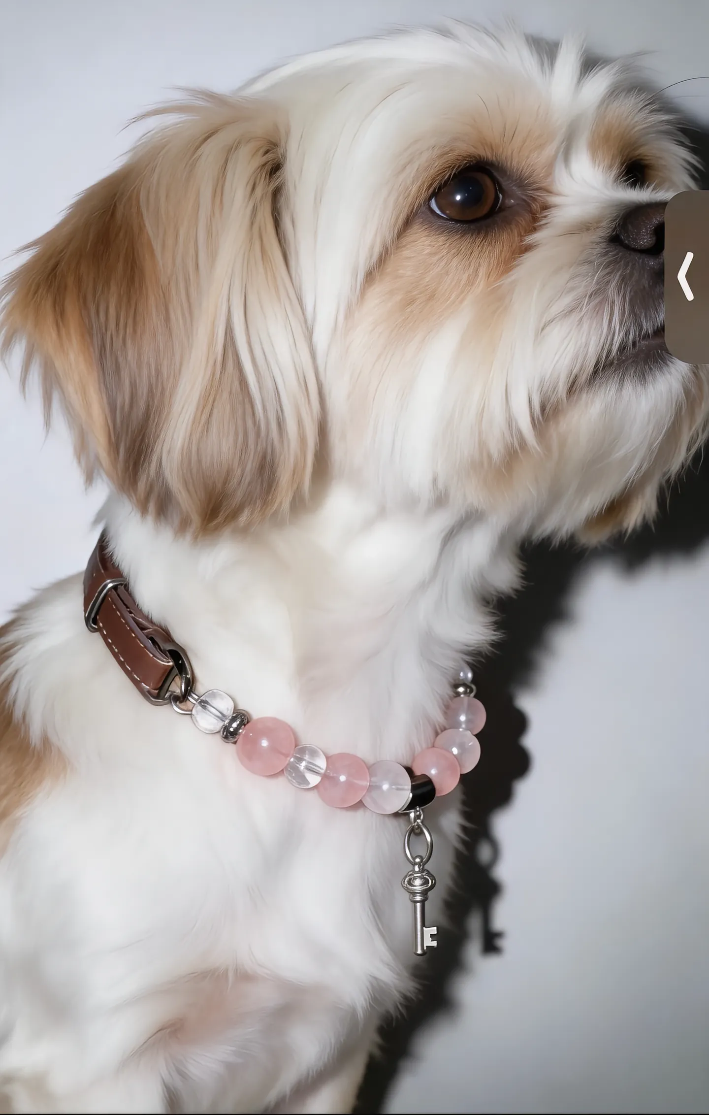 Fluorite Meadow Collar