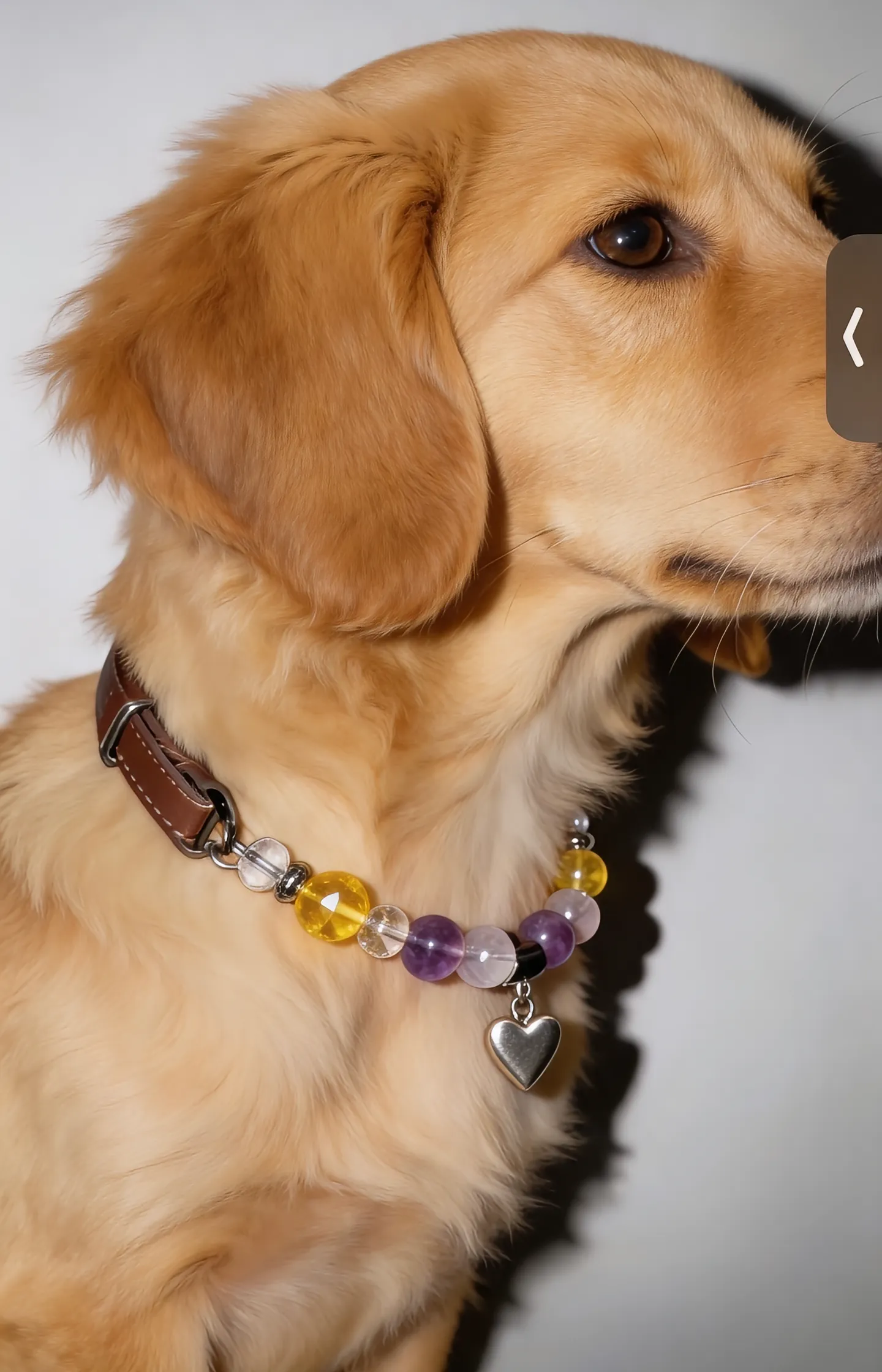 Fluorite Meadow Collar II