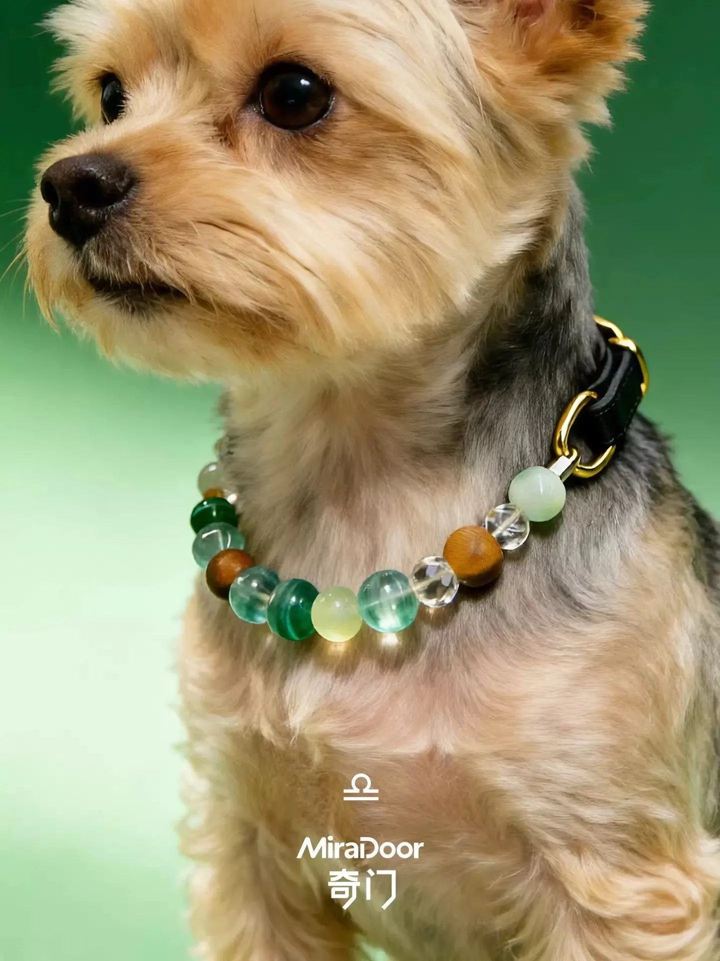Smoky Trail Pet Collar IIII